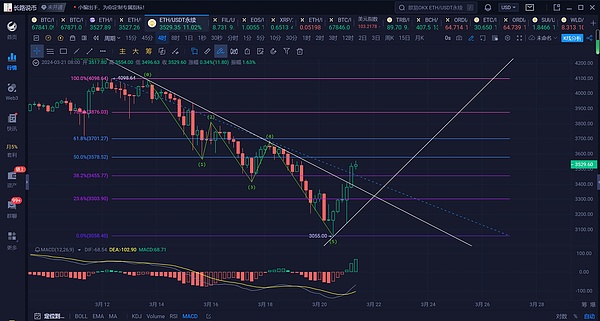 《星灵神兽》公测倒计时：一场别开生面的元宇宙冒险即将启航