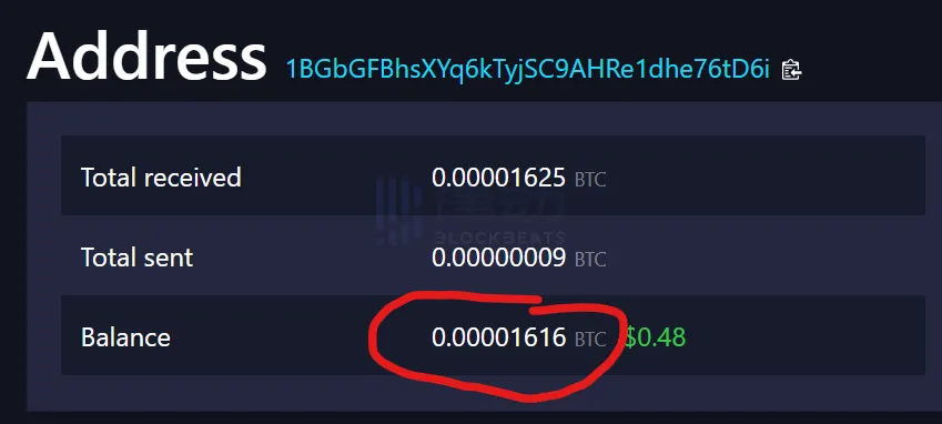 大资金为何仍在比特币市场豪赌？资深分析师告诉你真相